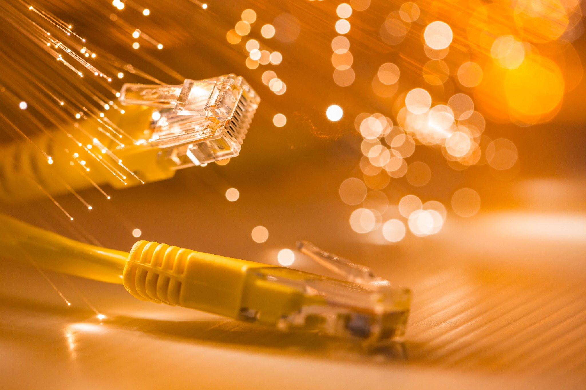 Fibre professionnelle